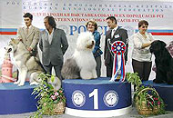 CACIB Россия-2009