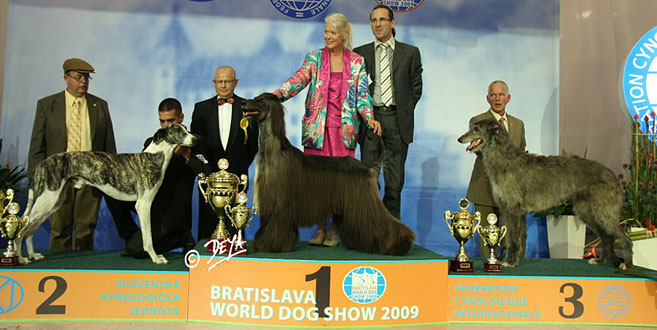 World Dog Show 2009