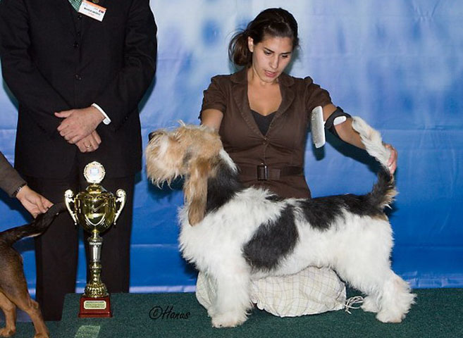 World Dog Show 2009